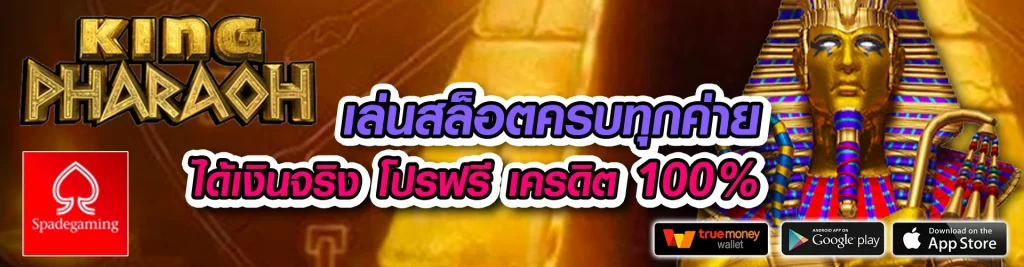 wthai89